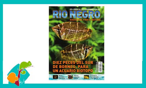 revista-rionegro-numero-52-venta