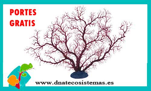 gorgonia-granate-30cm-tienda-online-productos-de-acuariofilia-por-internet-accesorios-ornamentos-decoracion-barcos-anforas-plantas