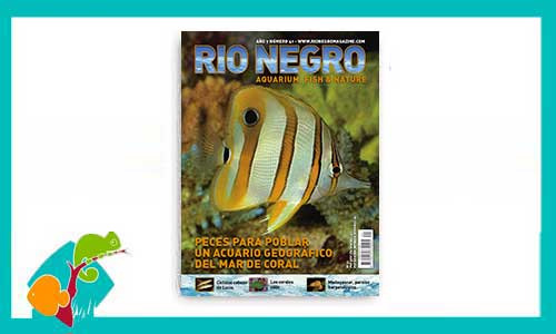 revista-rionegro-numero-41-venta