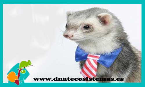 corbata-patriotica-para-huron-marshall-patriotic-tie-tienda-online-accesorios-huron