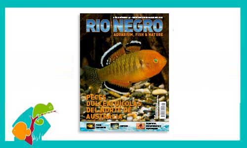 revista-rionegro-numero-46-venta