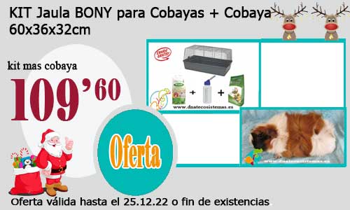 KIT Jaula BONY para Cobayas + Cobaya