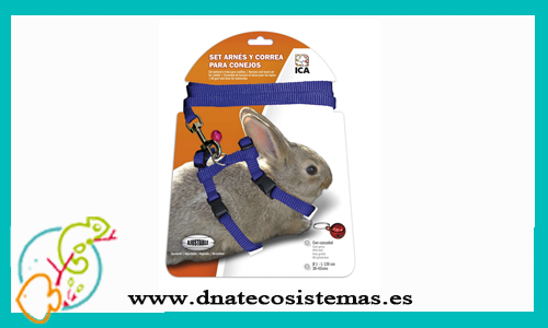 arnes-y-correa-para-conejo-nylon-azul-tienda-online-de-productos-para-conejos