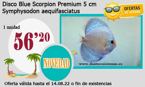Disco Blue Scorpion Premium 5 cm