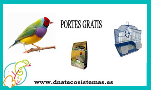 pañuelo de papel Premisa ganso OFERTA PACK Diamante Gould PORTES GRATIS - 119.99€. DNATecosistemas.es