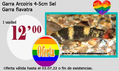 Garra Arcoiris 4-5cm Sel